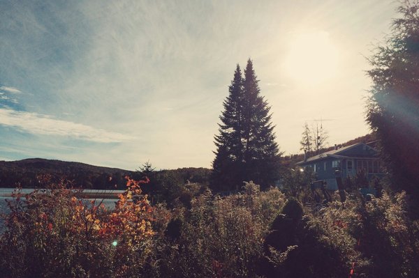 Quels sont les conseils pour un camping en région de vignes en automne?